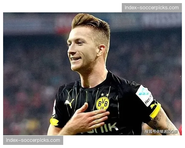 财务调查：多特蒙德上赛季财报显示盈利大幅增长，转会策略获认可