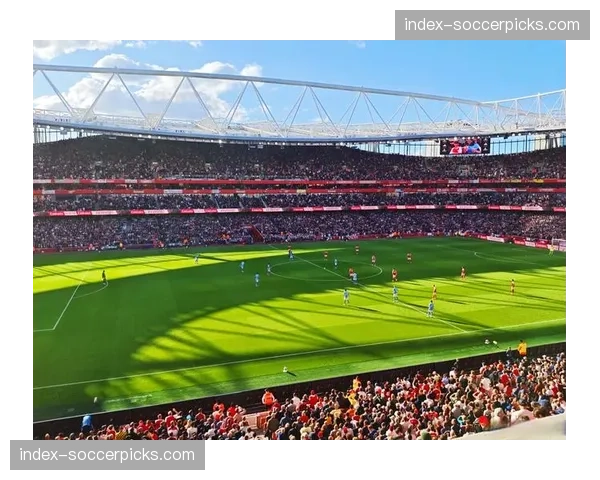 足坛最疯扩建计划：阿森纳要把酋长球场从60700座扩到80000人